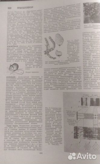 Книги Большая советская энциклопедия в 30 томах