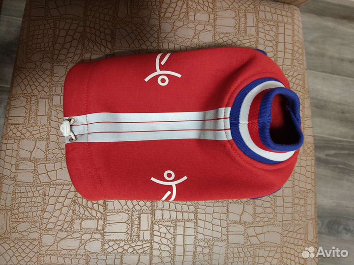 Худи для чихуахуа