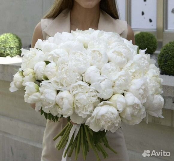 Пионы, цветы от производителя. Гарантия. 24/7