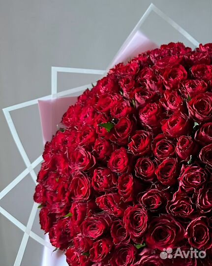 101 красная роза