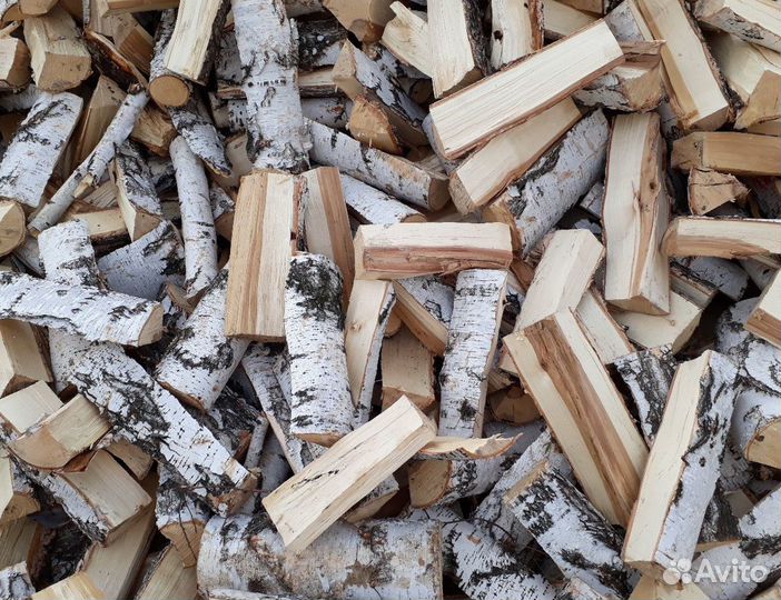 Дрова береза