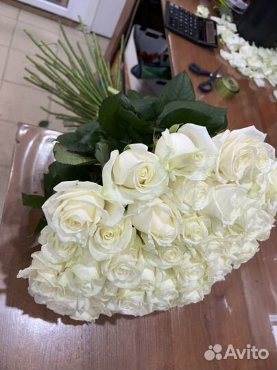51 белая роза 70 см и 60 см. Розы 25,27,33,51,101