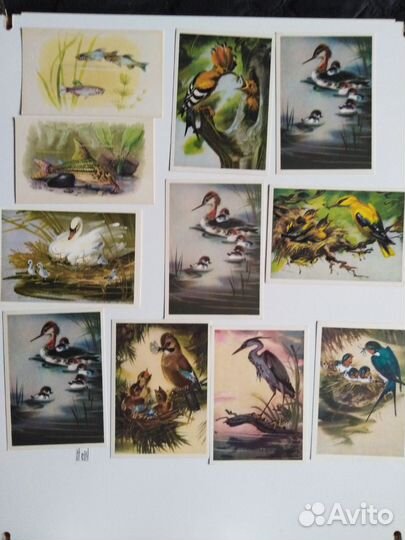 Открытки СССР