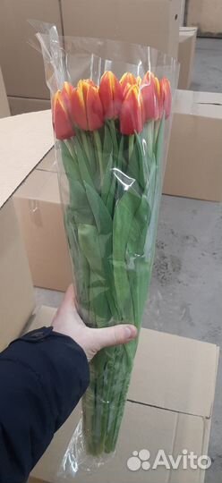 Тюльпаны к 8 марта