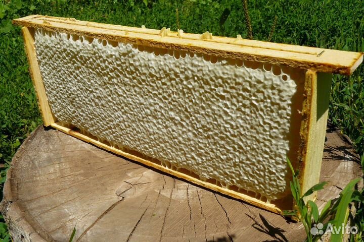 Мёд,горный,натуральный