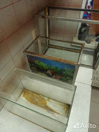 Террариумы из аквариумов - 3 шт