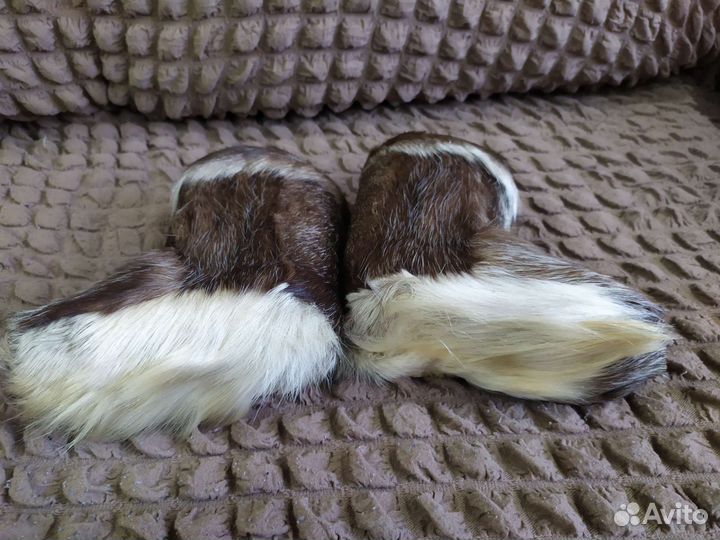 Пимы децкие