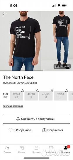 Футболка the north face мужская