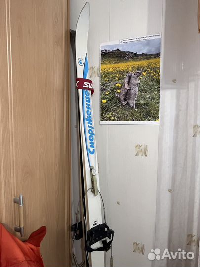 Лыжи туристические