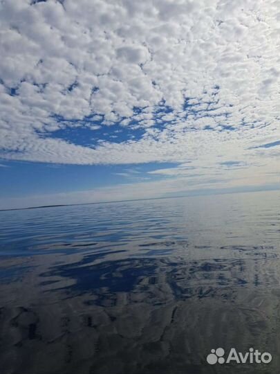 Рыбалка на Белом море