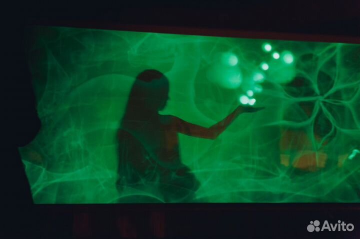 Шоу программа на праздник, свадьбу, день рождение