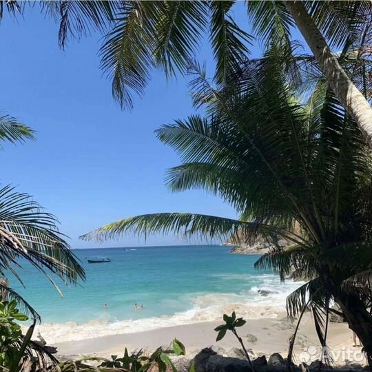 Индивидуальные туры в Абхазию