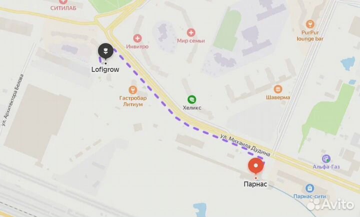 Препарат для защиты растений Актара от вредителей