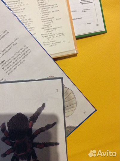 Книги кошки, домшние животные, бульдоги