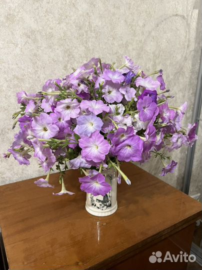 Букет петунии