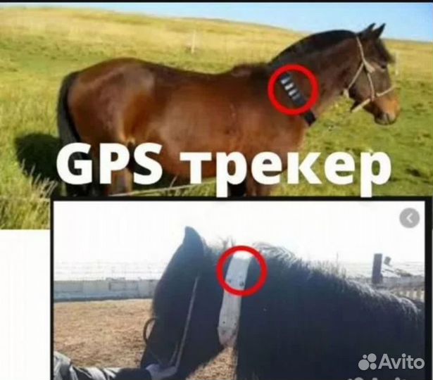 GPS модуль. Отслеживание по России навсегда