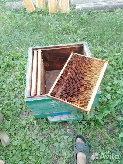 Рамки с сушью,Ульи