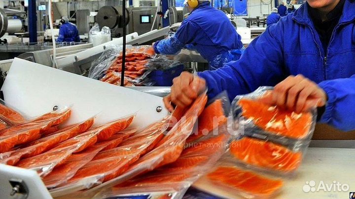 Обработчик рыбы на завод\вахта