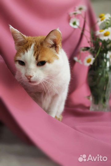 Просто богиня)