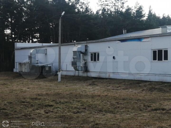 Нежилое здание, с. Б.Березники