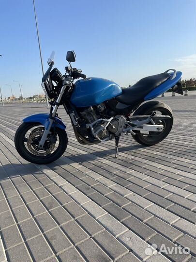 Продается hornet