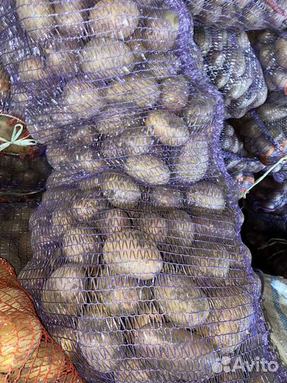 Овощи оптом/розница доставка для хранения