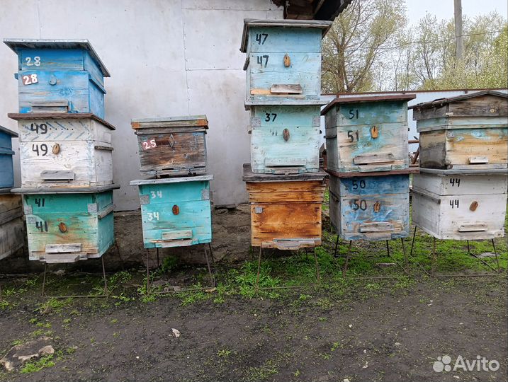 Улей для пчел