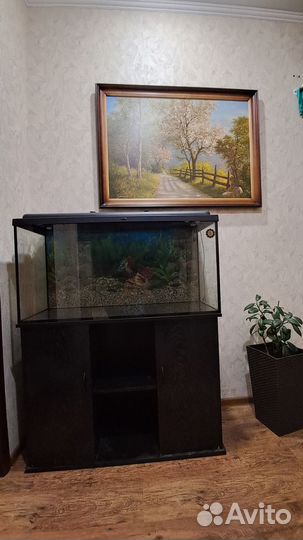 Аквариум 200 литров с тумбой (фирменный)
