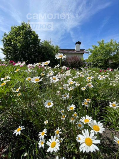 Дом 91 м² на участке 15 сот.