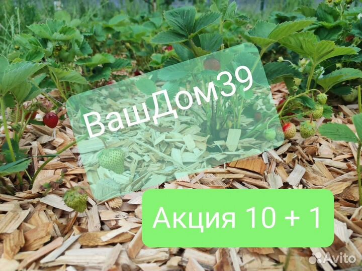 Мульча кора лиственницы,щепа декоративная отборная