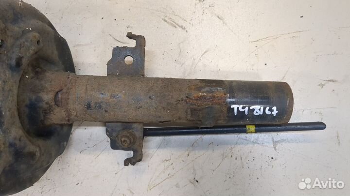 Амортизатор подвески Renault Megane 4, 2017