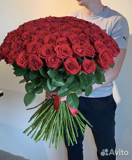 51 роза. Розы красные. Высокие розы. 60 см 70 см