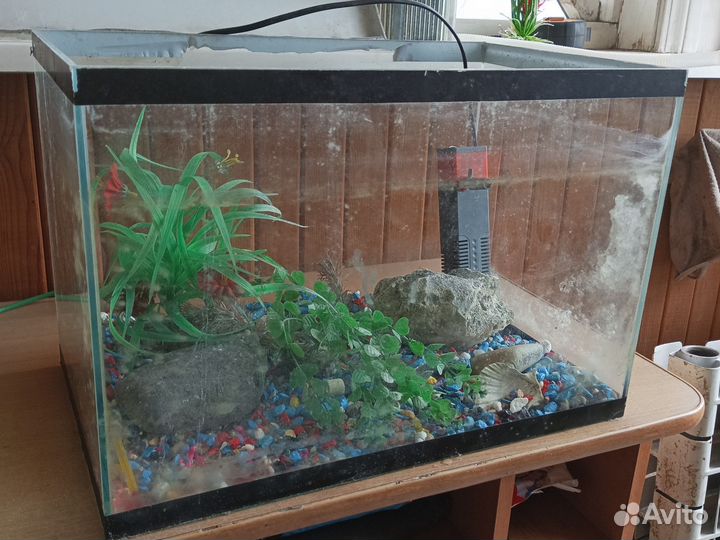 Аквариум