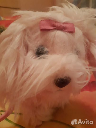 Интерактивная собачка