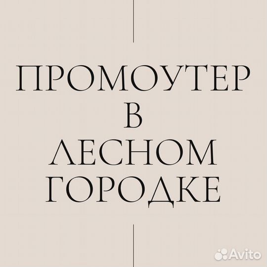 Промоутер раздача листовок