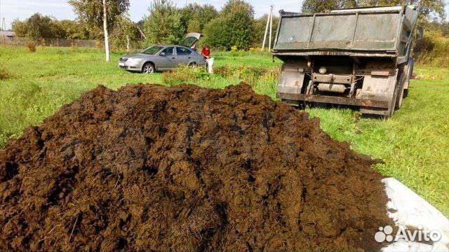 Навоз перегной