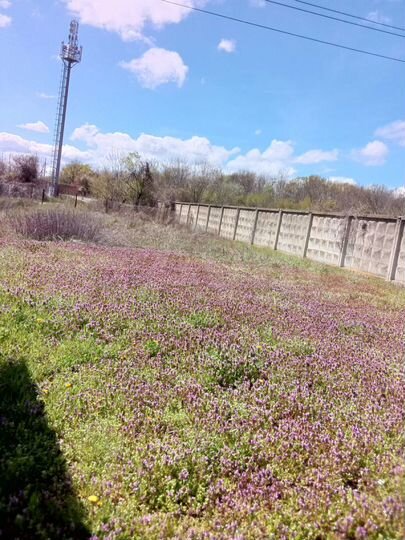 Дом 40 м² на участке 10 сот.