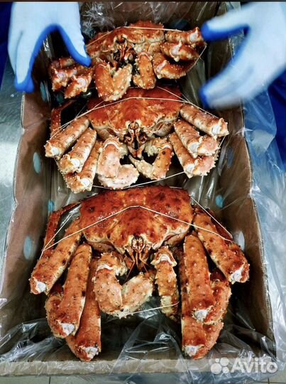 Краб камчатский целый