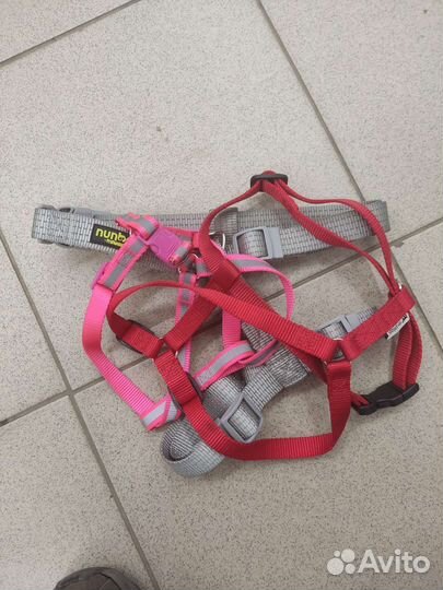 Шлейки для растущего щенка