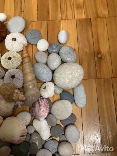 Кораллы, ракушки, камушки