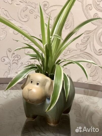 Кашпо Собачка