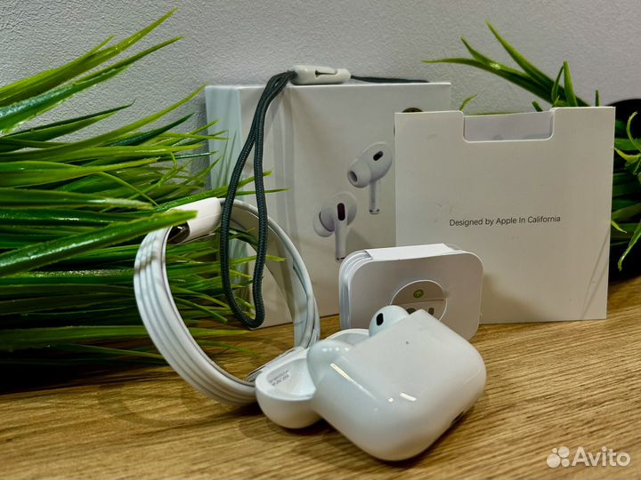 Наушники earpods про 2