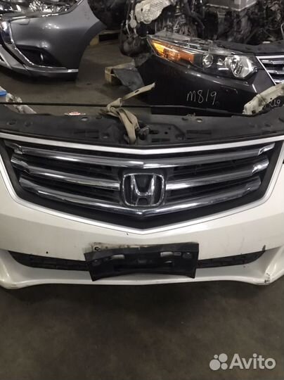 Ноускат Honda Accord 8