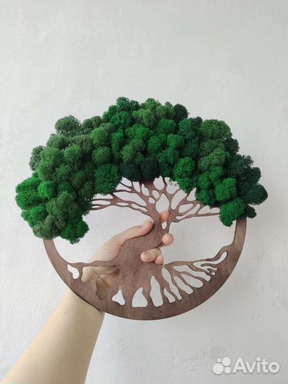 Панно со мхом