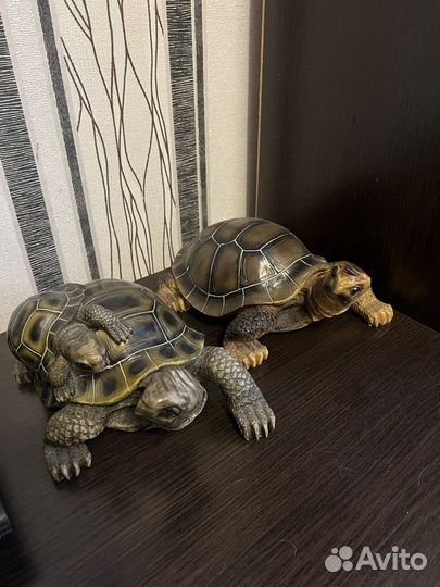 Черепаха фигурная