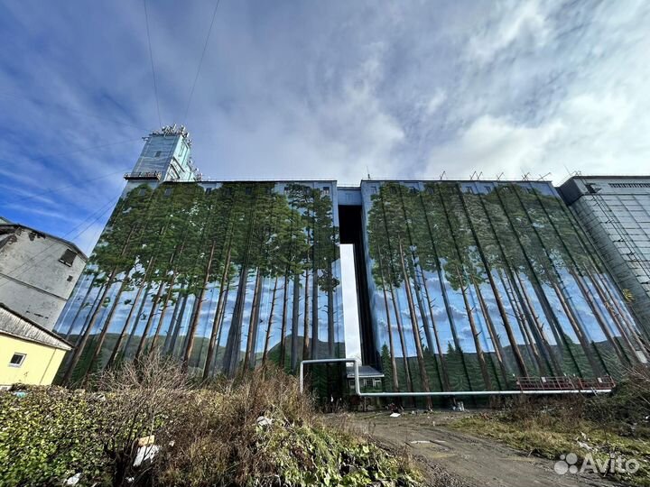 Художник графити