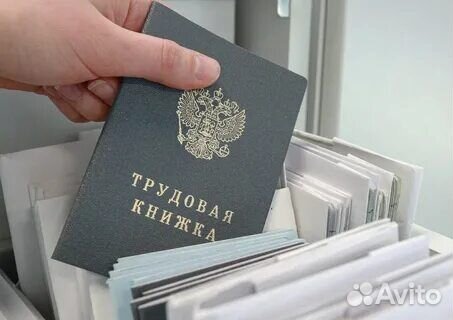 Чистые трудовые книжки