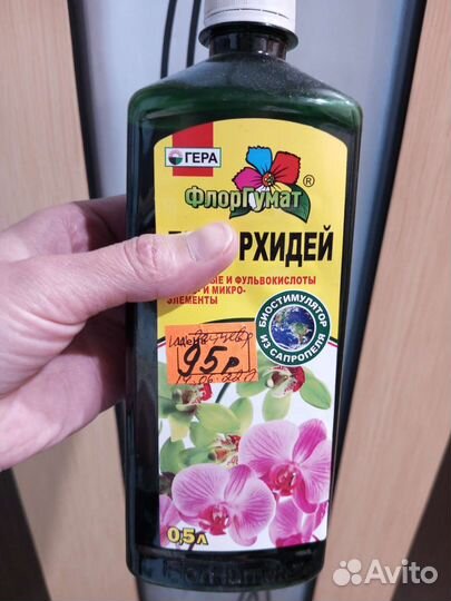 Орхидея фаленопсис