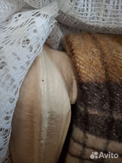 Лежанка для кошек подвесная