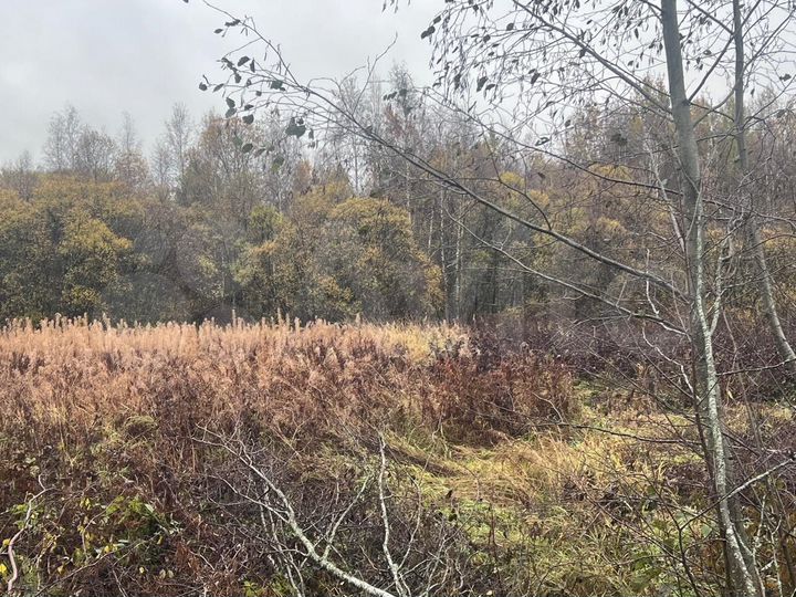 Участок 12 сот. (ИЖС)